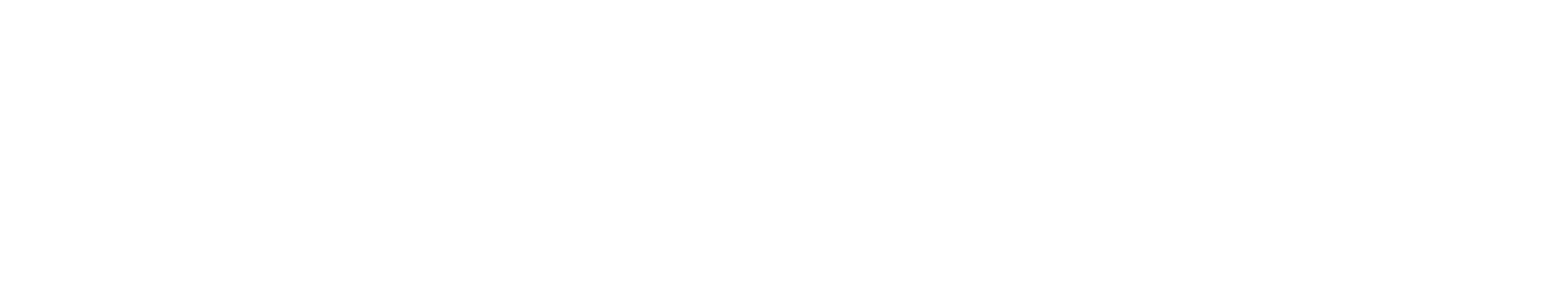 Night-Liner Group Logo